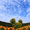 花壇のミッキー　2