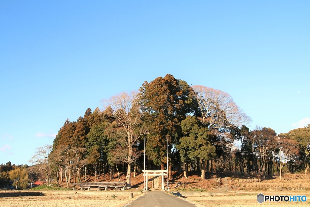 続・午後のお写んぽーのどかだなぁ～田舎だなぁ～