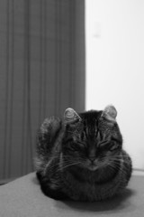 目を閉じて