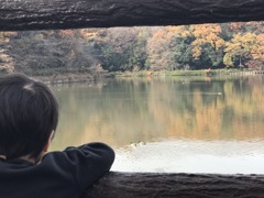 秋の思い出