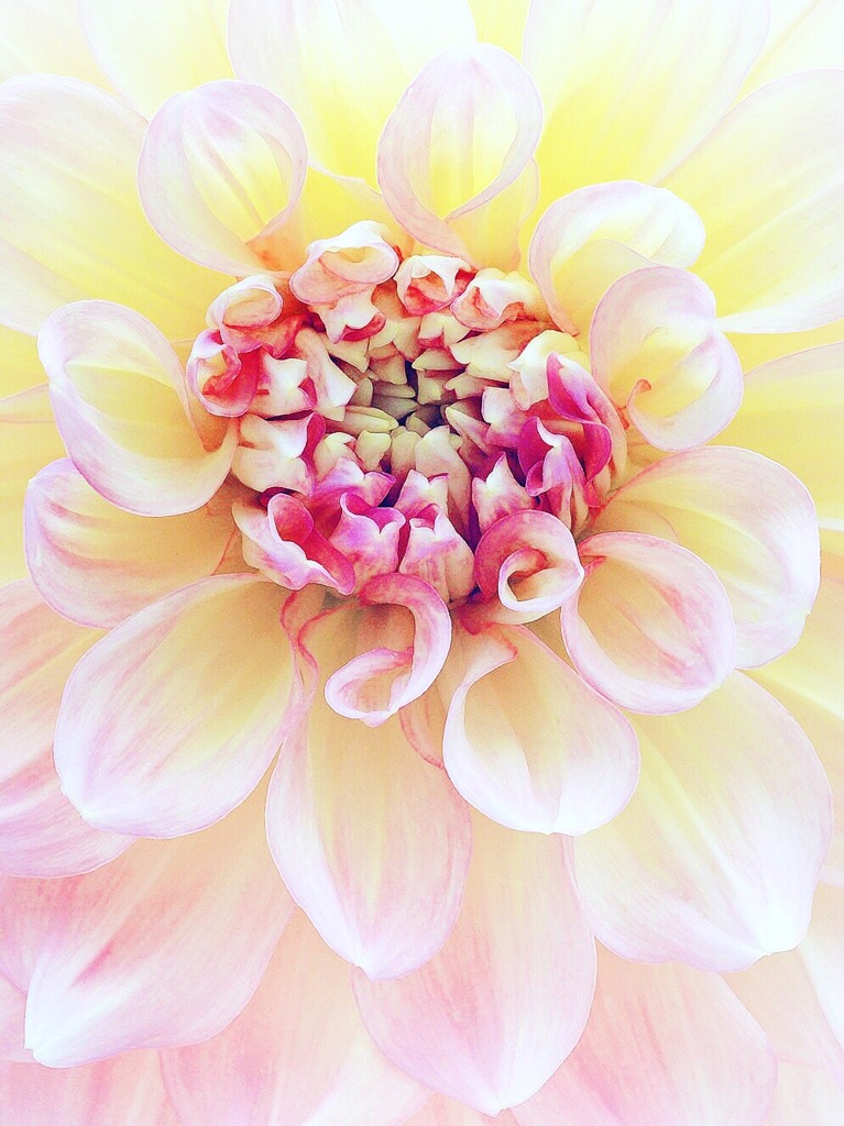 anniversary