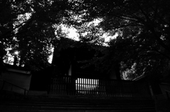 monochrome