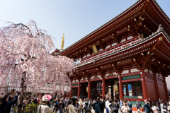 Sensoji Temple