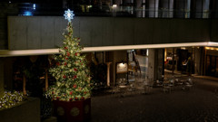 NishiShinjuku at night 【Christmas tree】