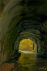 トンネル先の秋