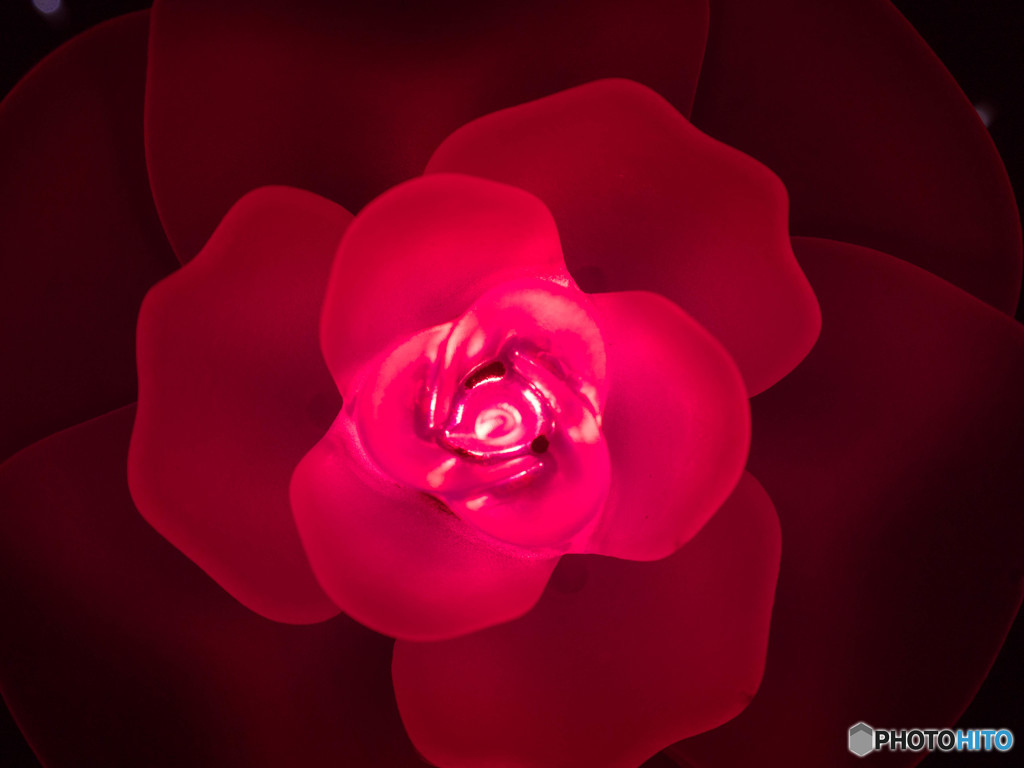 お花