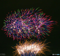 昭和の森 花火大会Ⅰ