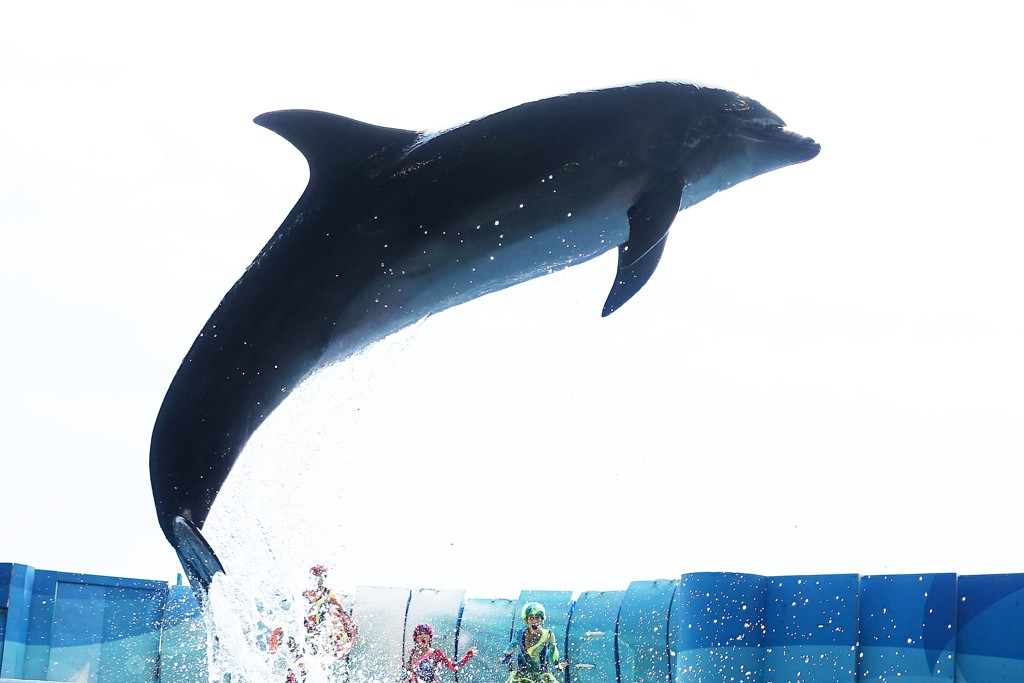 江の島水族館