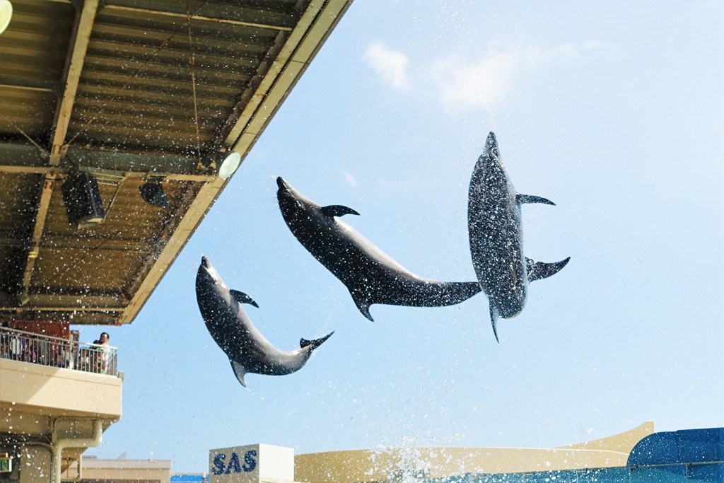 江の島水族館