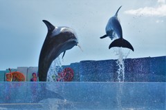 江の島水族館