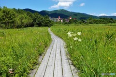 箱根湿生花園