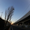 夕暮れ
