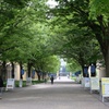 青学相模原キャンパス