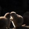 上野動物園