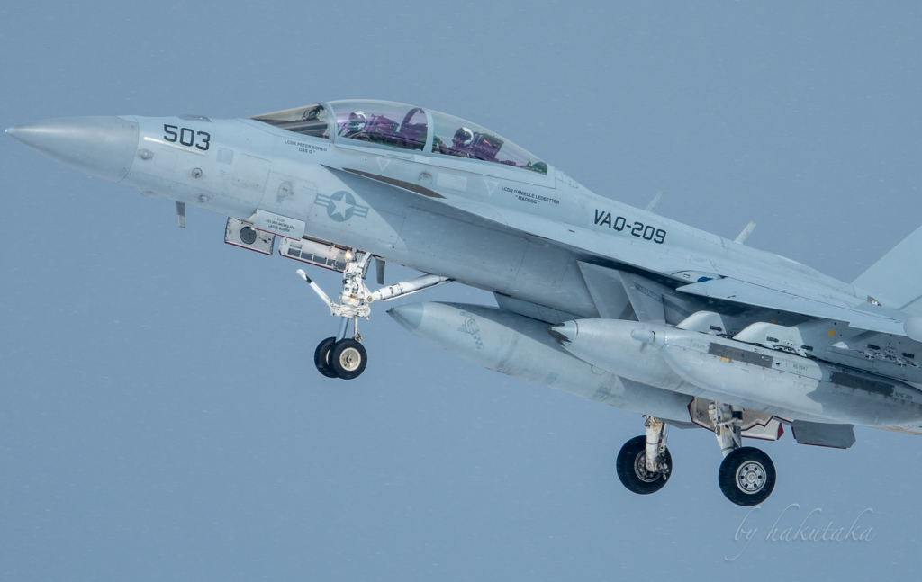 F-18G ベイダー　子分