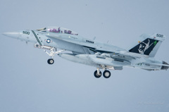 F-18G ベイダー　親分