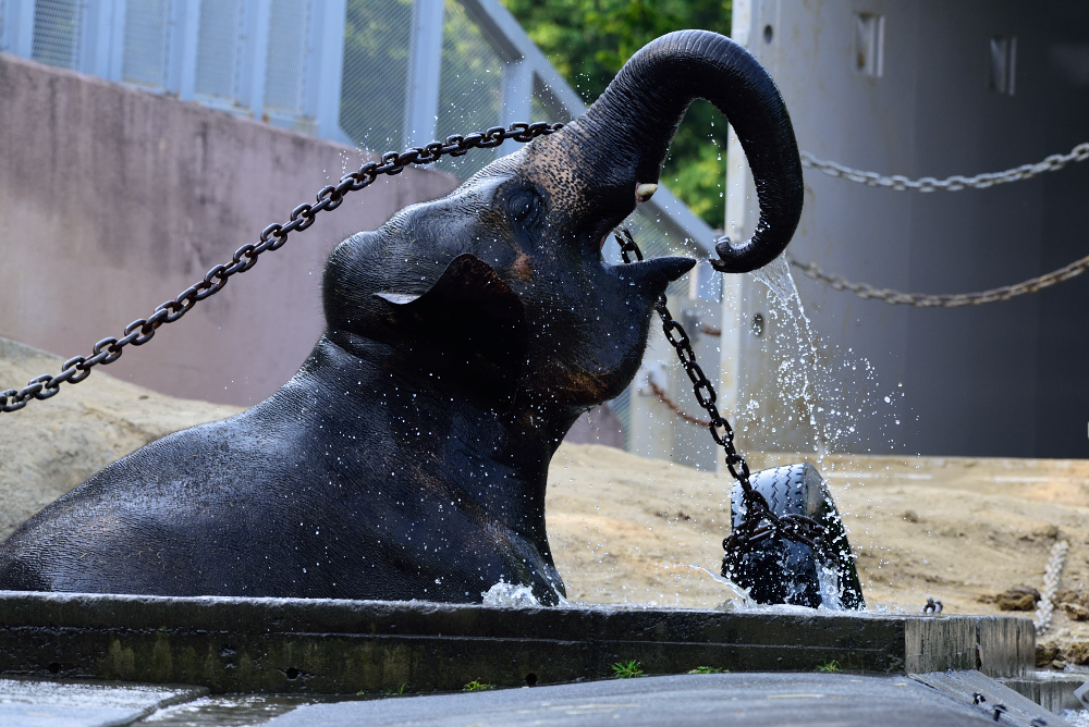 多摩動物公園