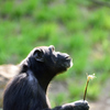 多摩動物公園