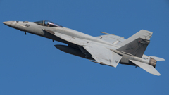 F/A-18E 