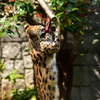 多摩動物公園