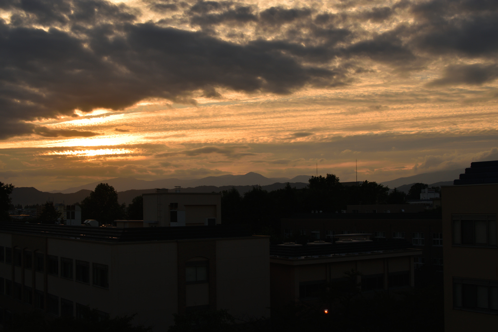 岩手大学