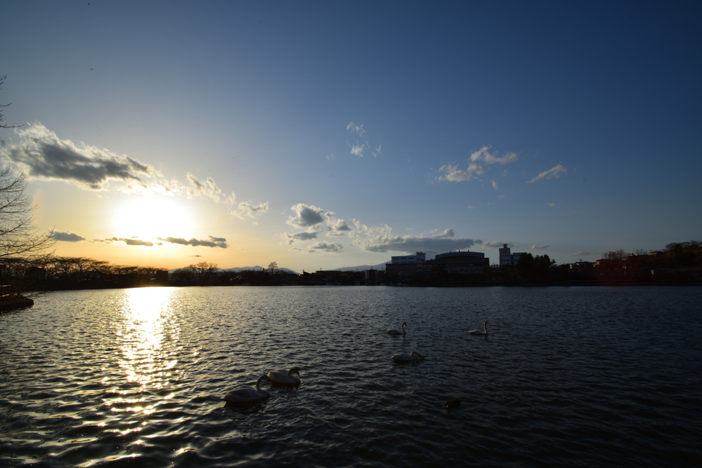 夕暮れの高松の池