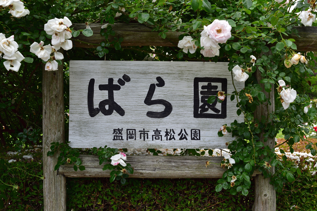 ばら園