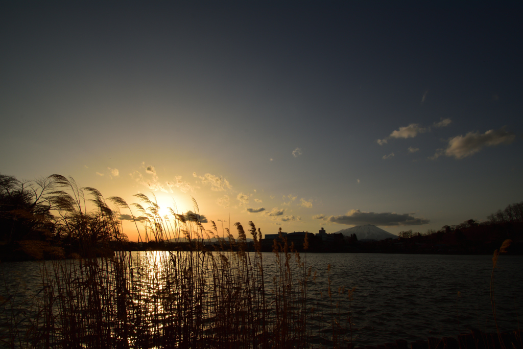 夕暮れの高松の池