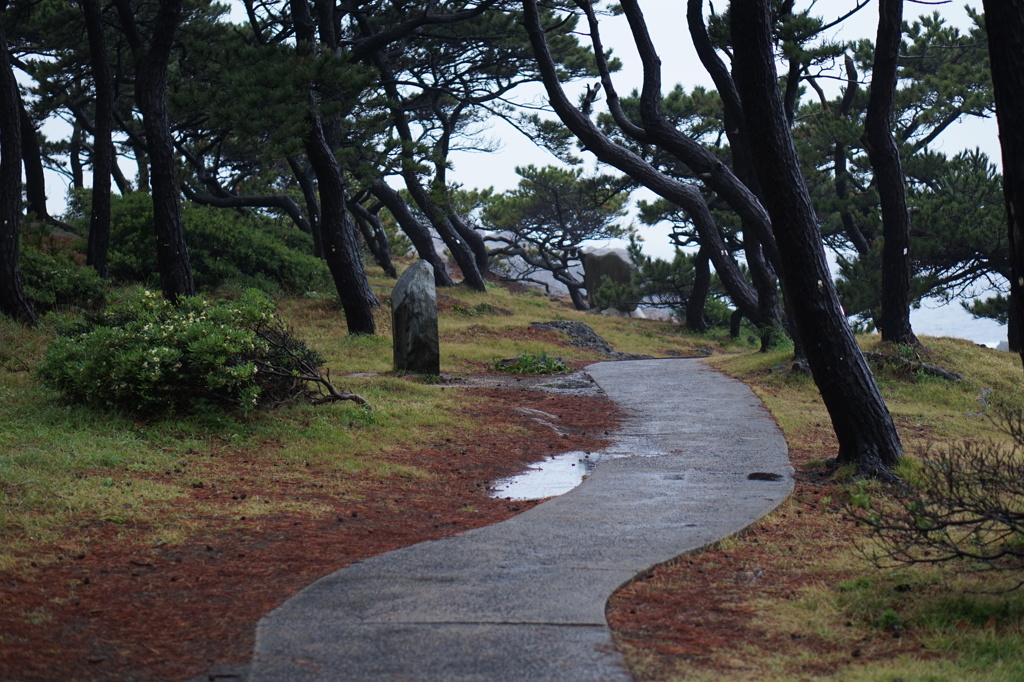 道