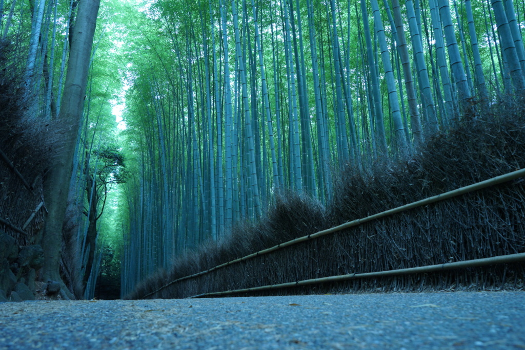 京都の名所