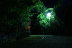 公園の明かり