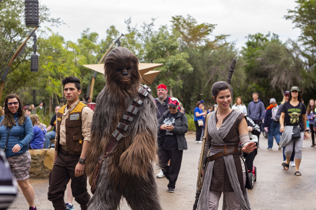 Chewbacca & Rey