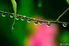 花明かり