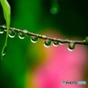 花明かり