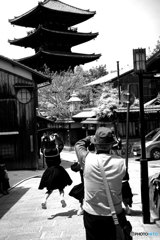 Kyoto Snap