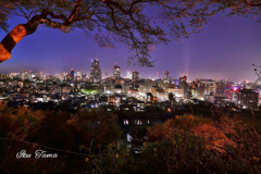 仙台市内夜景