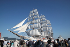 日本丸展帆１