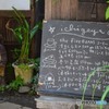 狸に誘われて