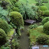 龍潭寺