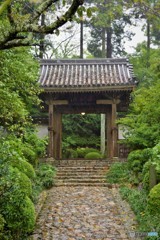 雨の龍潭寺3