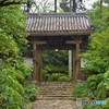 雨の龍潭寺3
