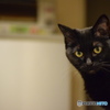 写す時は言ってね！