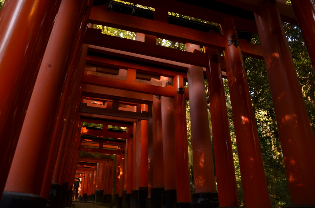 千本鳥居