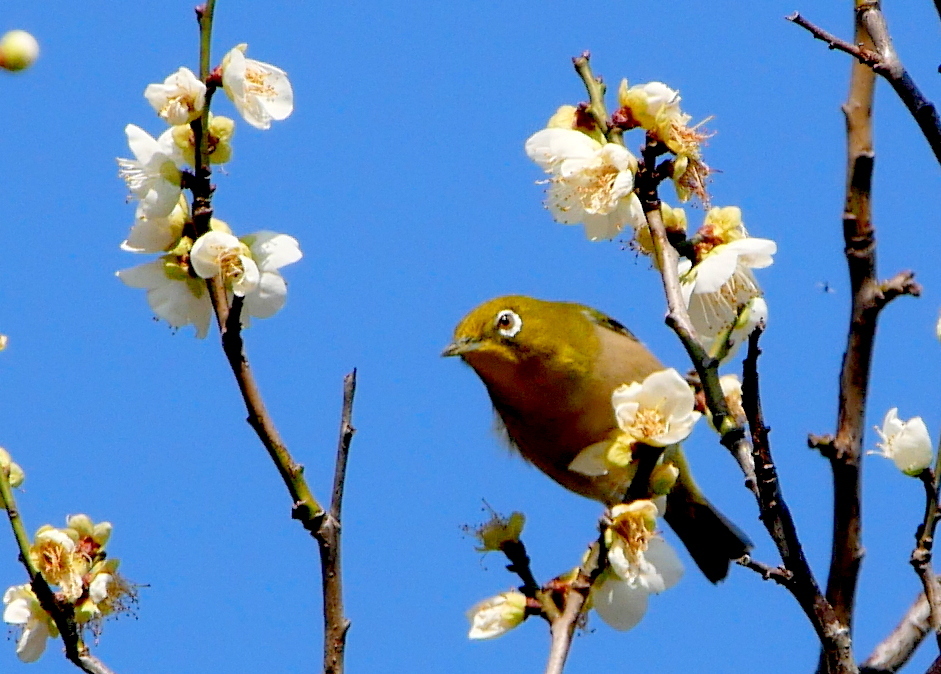 眩しい陽光