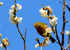 眩しい陽光