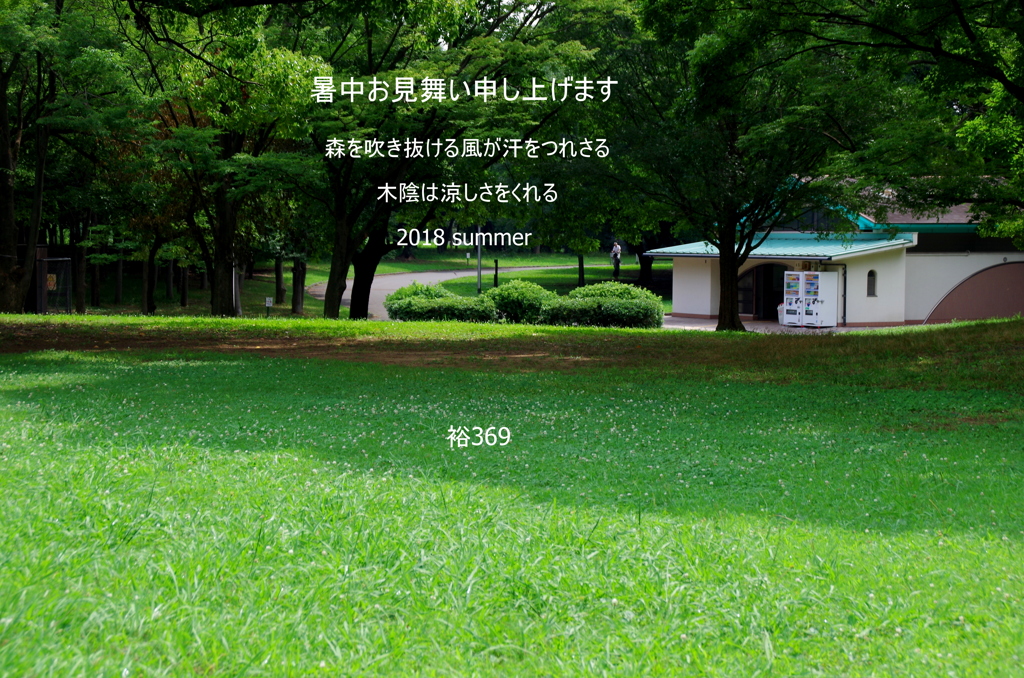 こかげ