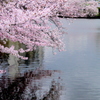風がはこぶ彩