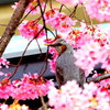 花に埋もれ