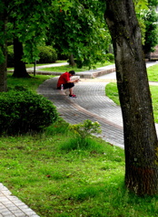 涼しい散歩道