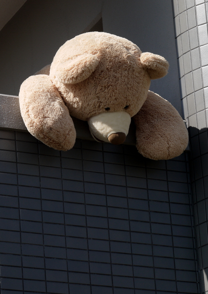熊さんおつかれ